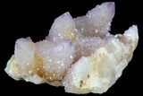 Cactus Quartz (Amethyst) Crystal Cluster - South Africa #180719-1